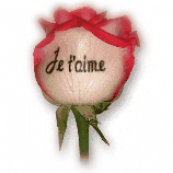زبان گلها و نشانهای ماه تولد -فرانسوی